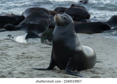 2025年最新3D开奖结果走势图全面分析与预测