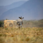 FIFA金球奖颁奖典礼全程高清直播观看指南 5o4azlk