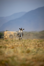 FIFA金球奖颁奖典礼全程高清直播观看指南