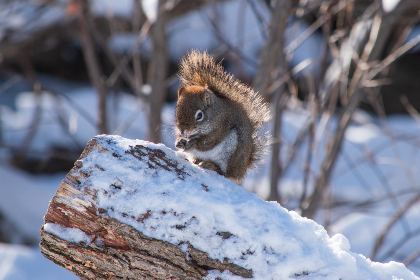 2025年大乐透历史开奖数据全记录与趋势分析