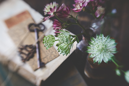 2025年最快开奖6大平台实时更新与预测