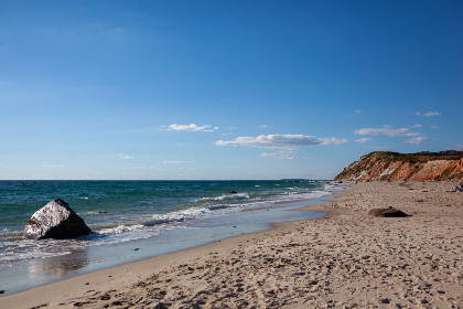 FIFAOL3大神直播间：绿茵对决，精彩赛事实时解说！