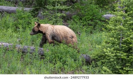 2025年开奖结果揭晓：今年大奖花落谁家？