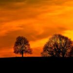 2025年开奖31期惊喜大奖花落谁家 z1gjr